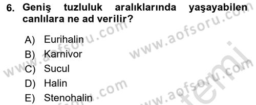 Balık Yetiştiriciliği Dersi 2021 - 2022 Yılı Yaz Okulu Sınav Soruları 6. Soru