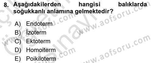 Balık Yetiştiriciliği Dersi 2021 - 2022 Yılı Yaz Okulu Sınav Soruları 8. Soru