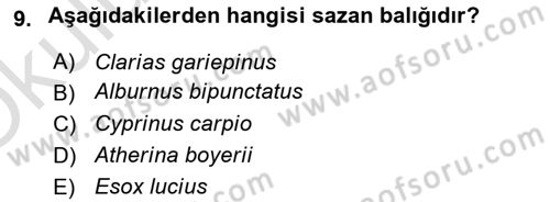 Balık Yetiştiriciliği Dersi 2021 - 2022 Yılı Yaz Okulu Sınav Soruları 9. Soru