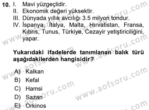 Balık Yetiştiriciliği Dersi 2022 - 2023 Yılı Yaz Okulu Sınav Soruları 10. Soru