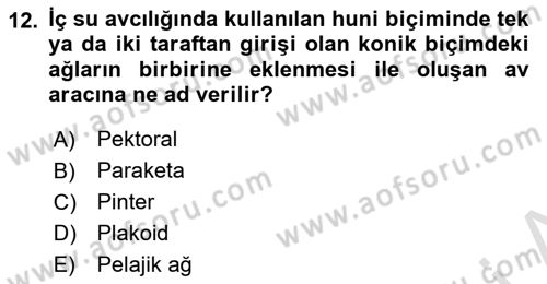 Balık Yetiştiriciliği Dersi 2022 - 2023 Yılı Yaz Okulu Sınav Soruları 12. Soru