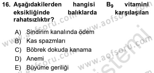 Balık Yetiştiriciliği Dersi 2022 - 2023 Yılı Yaz Okulu Sınav Soruları 16. Soru