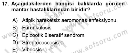 Balık Yetiştiriciliği Dersi 2022 - 2023 Yılı Yaz Okulu Sınav Soruları 17. Soru