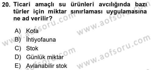 Balık Yetiştiriciliği Dersi 2022 - 2023 Yılı Yaz Okulu Sınav Soruları 20. Soru