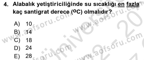Balık Yetiştiriciliği Dersi 2022 - 2023 Yılı Yaz Okulu Sınav Soruları 4. Soru