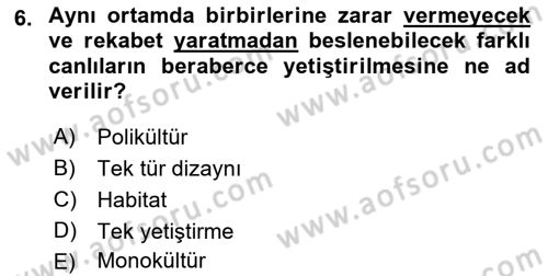 Balık Yetiştiriciliği Dersi 2022 - 2023 Yılı Yaz Okulu Sınav Soruları 6. Soru