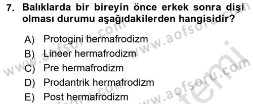 Balık Yetiştiriciliği Dersi 2022 - 2023 Yılı Yaz Okulu Sınav Soruları 7. Soru
