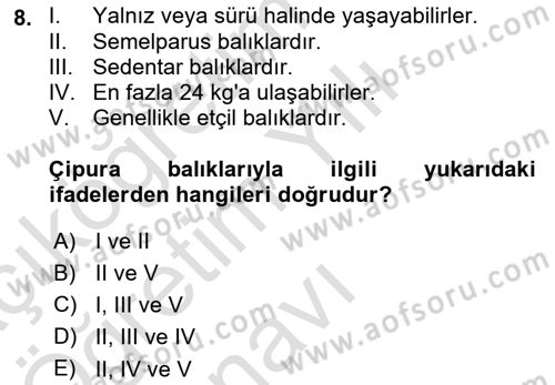 Balık Yetiştiriciliği Dersi 2022 - 2023 Yılı Yaz Okulu Sınav Soruları 8. Soru