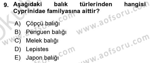 Balık Yetiştiriciliği Dersi 2022 - 2023 Yılı Yaz Okulu Sınav Soruları 9. Soru