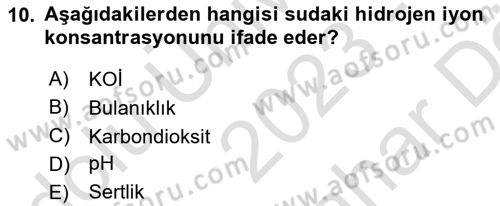 Balık Yetiştiriciliği Dersi 2023 - 2024 Yılı (Vize) Ara Sınav Soruları 10. Soru
