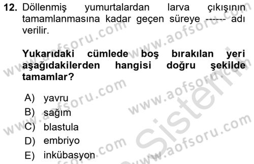 Balık Yetiştiriciliği Dersi 2023 - 2024 Yılı (Vize) Ara Sınav Soruları 12. Soru