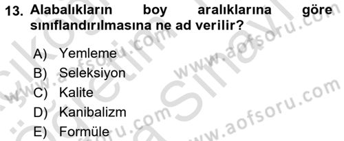 Balık Yetiştiriciliği Dersi 2023 - 2024 Yılı (Vize) Ara Sınav Soruları 13. Soru