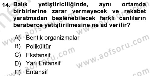 Balık Yetiştiriciliği Dersi 2023 - 2024 Yılı (Vize) Ara Sınav Soruları 14. Soru