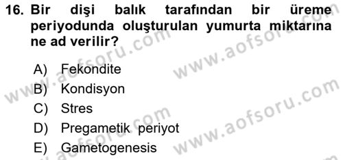 Balık Yetiştiriciliği Dersi 2023 - 2024 Yılı (Vize) Ara Sınav Soruları 16. Soru