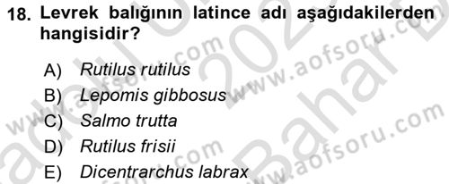 Balık Yetiştiriciliği Dersi 2023 - 2024 Yılı (Vize) Ara Sınav Soruları 18. Soru