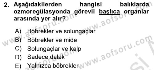 Balık Yetiştiriciliği Dersi 2023 - 2024 Yılı (Vize) Ara Sınav Soruları 2. Soru