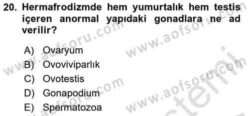 Balık Yetiştiriciliği Dersi 2023 - 2024 Yılı (Vize) Ara Sınav Soruları 20. Soru
