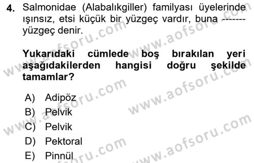 Balık Yetiştiriciliği Dersi 2023 - 2024 Yılı (Vize) Ara Sınav Soruları 4. Soru