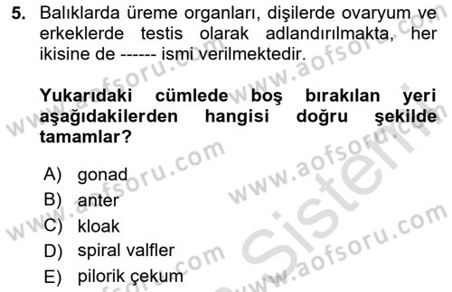 Balık Yetiştiriciliği Dersi 2023 - 2024 Yılı (Vize) Ara Sınav Soruları 5. Soru