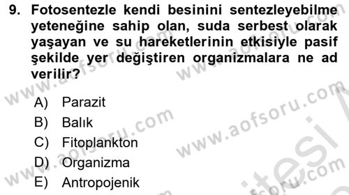 Balık Yetiştiriciliği Dersi 2023 - 2024 Yılı (Vize) Ara Sınav Soruları 9. Soru