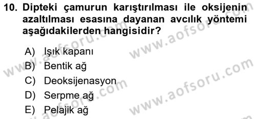 Balık Yetiştiriciliği Dersi 2023 - 2024 Yılı (Final) Dönem Sonu Sınav Soruları 10. Soru