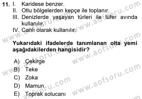 Balık Yetiştiriciliği Dersi 2023 - 2024 Yılı (Final) Dönem Sonu Sınav Soruları 11. Soru