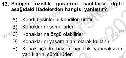Balık Yetiştiriciliği Dersi 2023 - 2024 Yılı (Final) Dönem Sonu Sınav Soruları 13. Soru