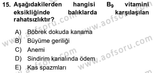 Balık Yetiştiriciliği Dersi 2023 - 2024 Yılı (Final) Dönem Sonu Sınav Soruları 15. Soru