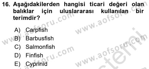 Balık Yetiştiriciliği Dersi 2023 - 2024 Yılı (Final) Dönem Sonu Sınav Soruları 16. Soru