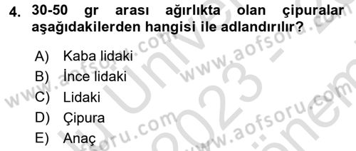 Balık Yetiştiriciliği Dersi 2023 - 2024 Yılı (Final) Dönem Sonu Sınav Soruları 4. Soru