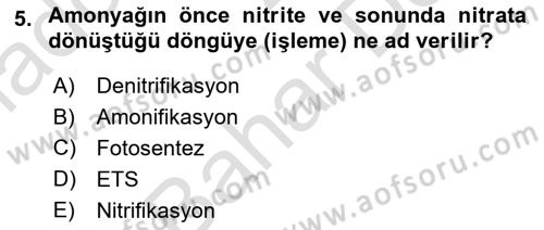 Balık Yetiştiriciliği Dersi 2023 - 2024 Yılı (Final) Dönem Sonu Sınav Soruları 5. Soru