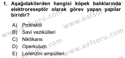 Balık Yetiştiriciliği Dersi 2024 - 2025 Yılı (Vize) Ara Sınav Soruları 1. Soru