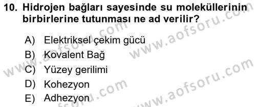 Balık Yetiştiriciliği Dersi 2024 - 2025 Yılı (Vize) Ara Sınav Soruları 10. Soru