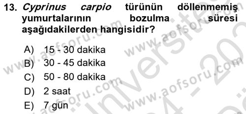 Balık Yetiştiriciliği Dersi 2024 - 2025 Yılı (Vize) Ara Sınav Soruları 13. Soru