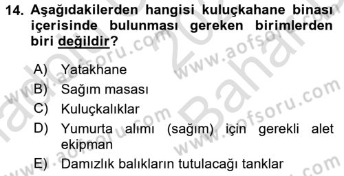 Balık Yetiştiriciliği Dersi 2024 - 2025 Yılı (Vize) Ara Sınav Soruları 14. Soru