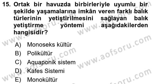 Balık Yetiştiriciliği Dersi 2024 - 2025 Yılı (Vize) Ara Sınav Soruları 15. Soru