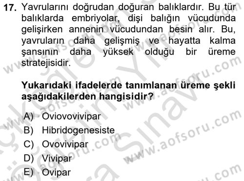 Balık Yetiştiriciliği Dersi 2024 - 2025 Yılı (Vize) Ara Sınav Soruları 17. Soru