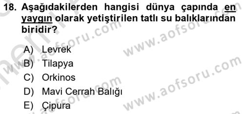 Balık Yetiştiriciliği Dersi 2024 - 2025 Yılı (Vize) Ara Sınav Soruları 18. Soru