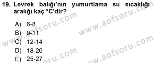 Balık Yetiştiriciliği Dersi 2024 - 2025 Yılı (Vize) Ara Sınav Soruları 19. Soru