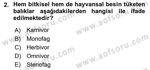 Balık Yetiştiriciliği Dersi 2024 - 2025 Yılı (Vize) Ara Sınav Soruları 2. Soru