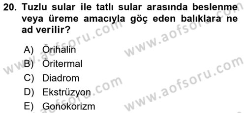 Balık Yetiştiriciliği Dersi 2024 - 2025 Yılı (Vize) Ara Sınav Soruları 20. Soru