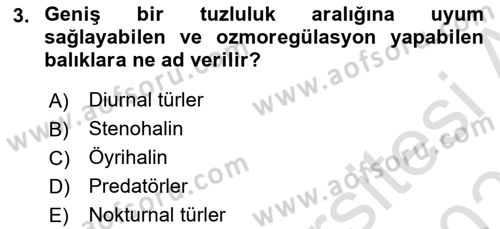 Balık Yetiştiriciliği Dersi 2024 - 2025 Yılı (Vize) Ara Sınav Soruları 3. Soru