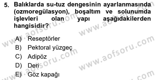Balık Yetiştiriciliği Dersi 2024 - 2025 Yılı (Vize) Ara Sınav Soruları 5. Soru