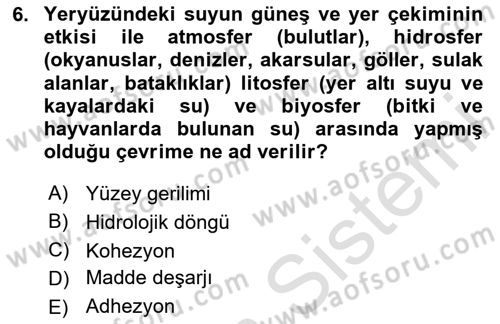 Balık Yetiştiriciliği Dersi 2024 - 2025 Yılı (Vize) Ara Sınav Soruları 6. Soru