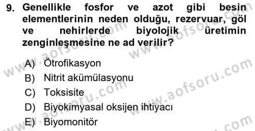 Balık Yetiştiriciliği Dersi 2024 - 2025 Yılı (Vize) Ara Sınav Soruları 9. Soru
