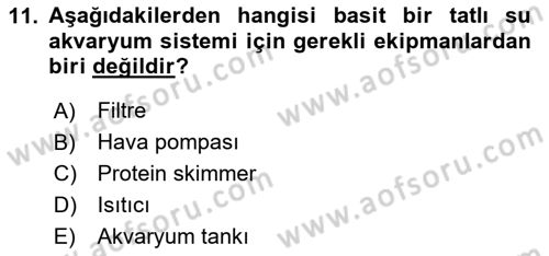Balık Yetiştiriciliği Dersi 2024 - 2025 Yılı (Final) Dönem Sonu Sınav Soruları 11. Soru