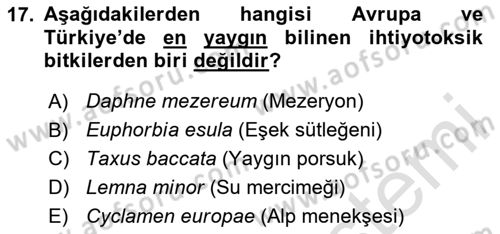 Balık Yetiştiriciliği Dersi 2024 - 2025 Yılı (Final) Dönem Sonu Sınav Soruları 17. Soru