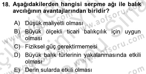 Balık Yetiştiriciliği Dersi 2024 - 2025 Yılı (Final) Dönem Sonu Sınav Soruları 18. Soru