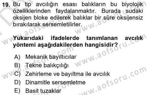 Balık Yetiştiriciliği Dersi 2024 - 2025 Yılı (Final) Dönem Sonu Sınav Soruları 19. Soru