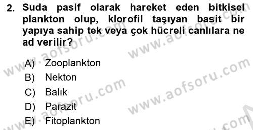 Balık Yetiştiriciliği Dersi 2024 - 2025 Yılı (Final) Dönem Sonu Sınav Soruları 2. Soru